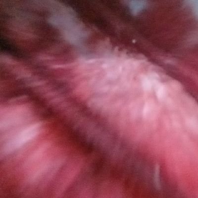 Wildan62251783's profile picture. hacker