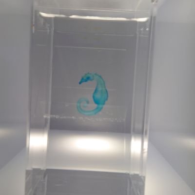 びびびさんのプロフィール画像