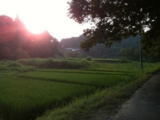 synchro1014's profile picture. Heaven helps those who help themselves.  天知る 地知る 我知る。