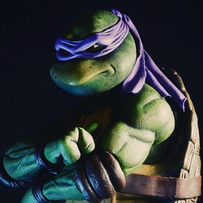 TMNT Fan Page