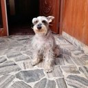 Eric Rojas - @Eric_Roller_Roj - Twitter