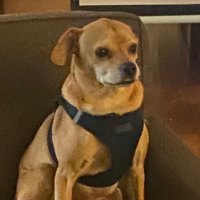 Dean (@deanrealforreal) 's Twitter Profile