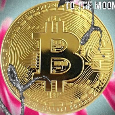 Anonimu50848451's profile picture. PROYECTOS EN FORMATO NFT. VISITA ENLACE WEB⬇️
https://t.co/jDCbZQwaDO