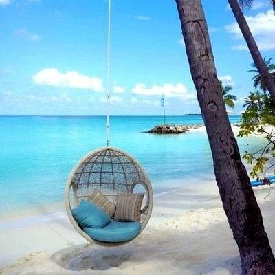 tibti2022's profile picture. 