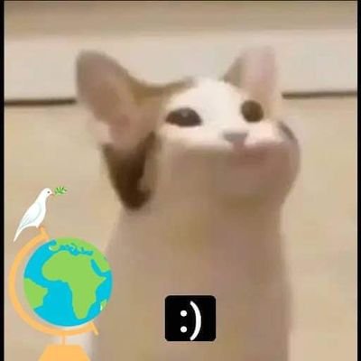 Zumic10's profile picture. 