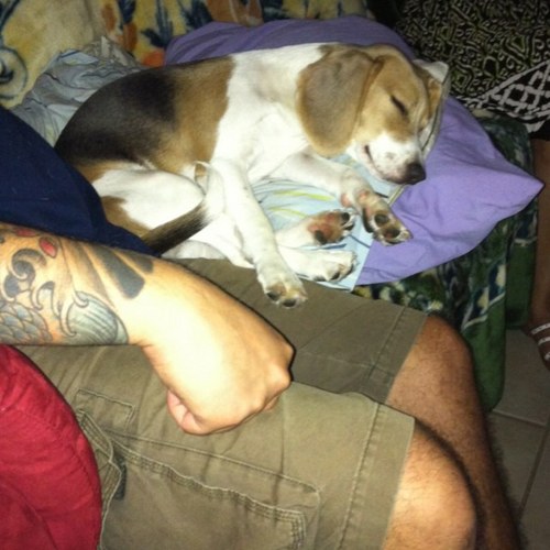 twocorns's profile picture. Talk to me, Goose!!!