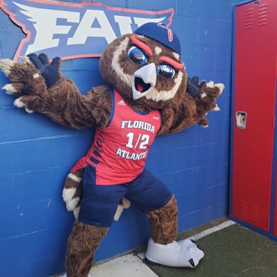 Official Twitter Account of Florida Atlantic University Hoot! Owlsley's Sidekick 🦉