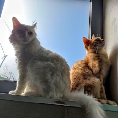 DavidAl31707908's profile picture. 