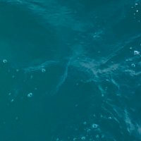 C (@criscouh) 's Twitter Profile