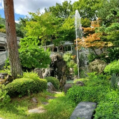 세계최고의 송림농원팬션! 043 848 0314
https://t.co/E7QorxjfDN
티톡 ㅡ ookimagic 페북 ~ 천하명당
#여행 #힐링 #워크샵 #동호회
#가족모임 #친구 #팬션 #숙박
#추억 #여행에미치다 #친목 #우정 #인연 #연인 #사랑 #이벤트 #지인 #휴가 #의리