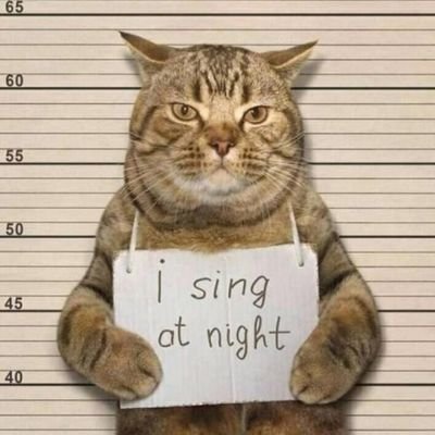 I sing at night.