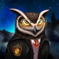 Legendary Owls(@LegendaryOwls) 's Twitter Profileg