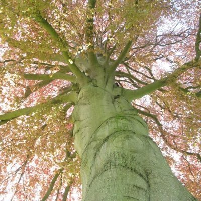 Carol23Togel's profile picture. ✨Live, travel, adventure, bless, and don’t be sorry✨