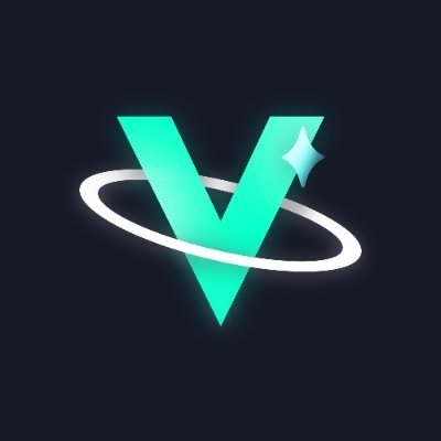 Void Network Profile