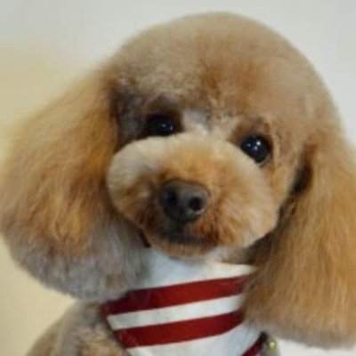 4016chinta's profile picture. 一応 #ボートレーサー 🚤
仕事のあれこれはあまり興味ないので、基本的にギャンブルのこと呟いてます！
#競馬 #競輪 #オート #パチンコ #スロット の5刀流(笑)