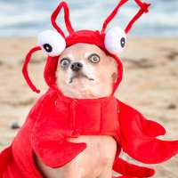 Meliø (@melio_ow) 's Twitter Profile Photo Meliø (@melio_ow) 's Twitter Profile Photo