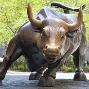 iamyashkothari's profile picture. Risk hai toh Ishq Hai!