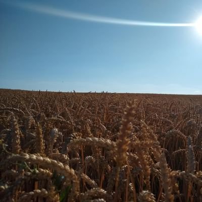 Sartre157's profile picture. Rovnosť, Sloboda, Bratstvo - nie s každým a nie za každú cenu

@sartre157@mastodon.sk