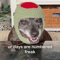 Lex ❣️ (@logs623) 's Twitter Profile