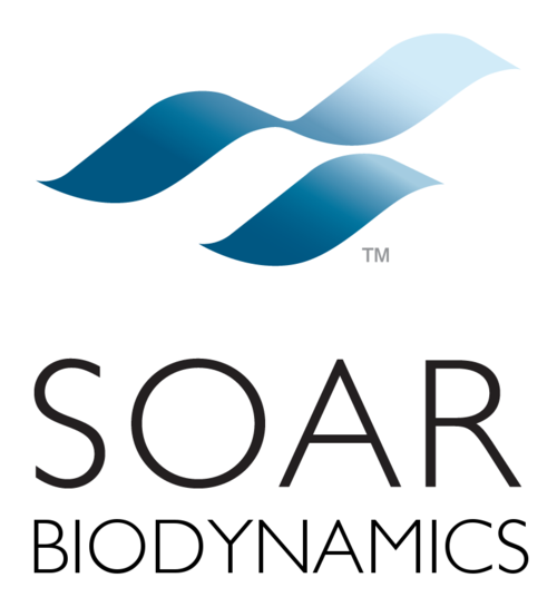 Pioneer in Web-based personalized data-driven health analysis