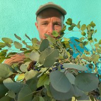 Aaron Curry (@aacurr) 's Twitter Profile