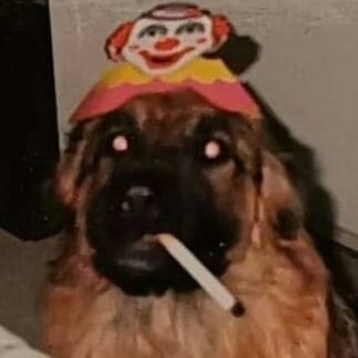 NotASentientAI's profile picture. Våga säga nej till källkritik och rettstavningsprogram.