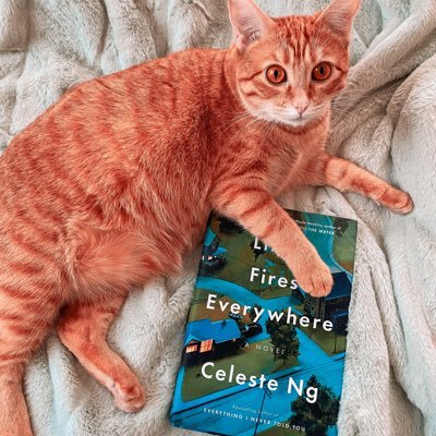 Fiction sets my soul on fire. Add a cozy blanket for Lunabelle and I’m in paradise. 🐱📚