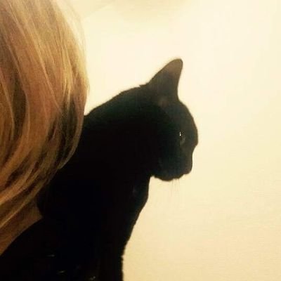 AnaFelidae's profile picture. 🌵 Grain de sable connecté au réel