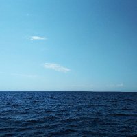 Nikki Nelson (@nikkine37249405) 's Twitter Profile
