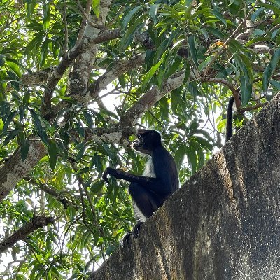 cgranadosjj's profile picture. 