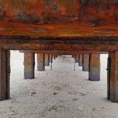 girlzone1111's profile picture. 