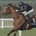 Free Horse Racing Tipster (@horsetipster23) Twitter profile photo Free Horse Racing Tipster (@horsetipster23) Twitter profile photo