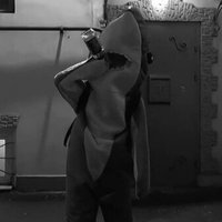 Ni🐋a (@5qiq7eerlxxipyx) 's Twitter Profile