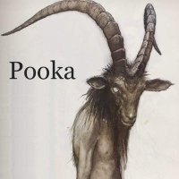 The Pooka(@Scullabogue) 's Twitter Profile Photo