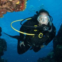 Marianne Porter (@marianneeporter) 's Twitter Profile