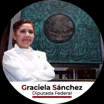 Diputada Federal, Dtto. 21. Edo. México.
Presidenta de la Comisión de la Reforma Política - Electoral.