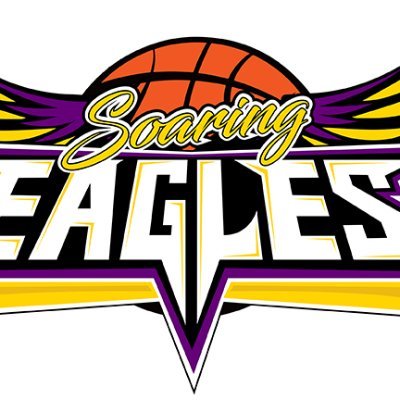 Youth Organization, Basketball, Education, Community Service,  Volleyball, AAU. You can reach us on ALL Social Media Outlets @ilsoaringeagles