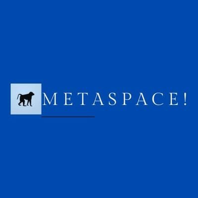 Put your Business in the driver's seat of digital transformation. Learn more about MetaSpace and how we can help you achieve success.