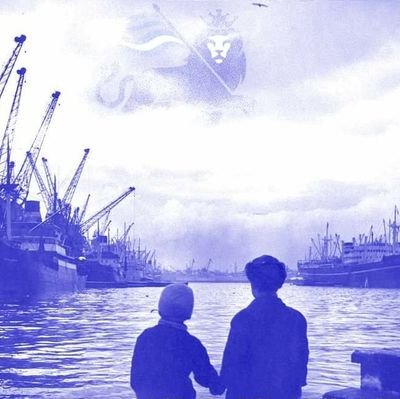 serkeftin031's profile picture. HIC SVNT LEONES