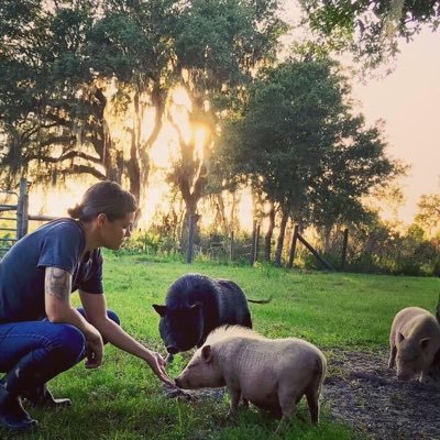 SFS is a non-profit, woman-run, ethically vegan sanctuary, providing love and a forever home to farm animals rescued from slaughter, cruelty, and abandonment