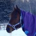 Ulla Serén 🇫🇮 🇦🇽 🇸🇪 🇺🇦 🇵🇱 (@femjas) Twitter profile photo Ulla Serén 🇫🇮 🇦🇽 🇸🇪 🇺🇦 🇵🇱 (@femjas) Twitter profile photo