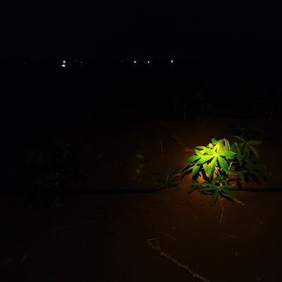 bugart192's profile picture. หล่อ