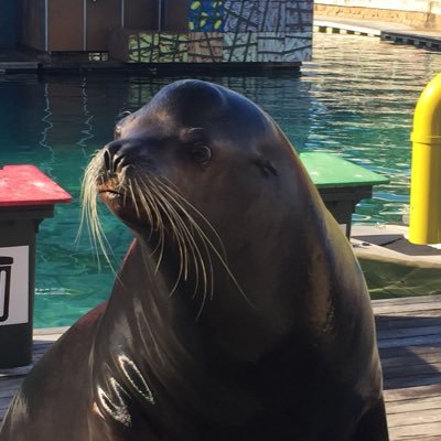 Cadel2011S21's profile picture. Hippy free love wantabe