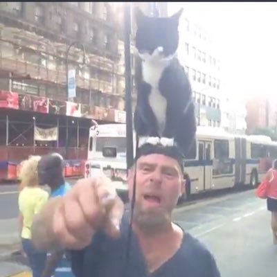 megankur's profile picture. i hate everything