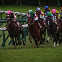 競馬予想 競輪予想 競艇予想 副業 パチスロ パチンコ スマスロ スマパチ バイナリー 皐月賞 (@yosouk258) 's Twitter Profile