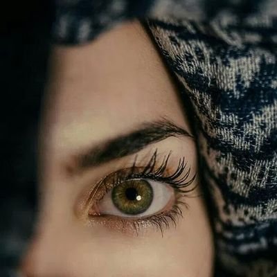 aboud_zu's profile picture. 💚💚