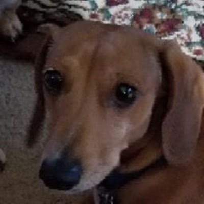 ChrisGi14556706's profile picture. 