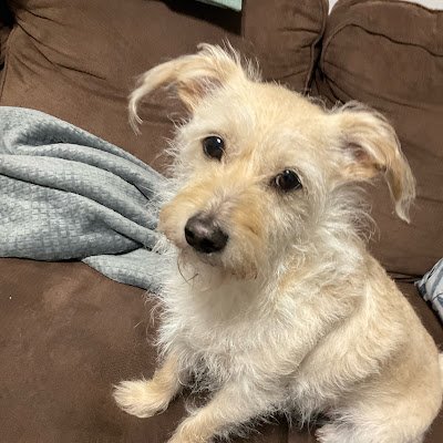 hellotheresigma's profile picture. Football and Nascar Enthusiasts