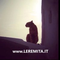 EremitaFaggeta (@efaggeta) 's Twitter Profile Photo EremitaFaggeta (@efaggeta) 's Twitter Profile Photo