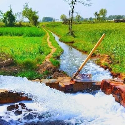 iShaikhHussain's profile picture. 